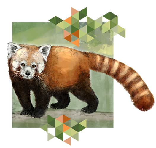 panda_q_about2